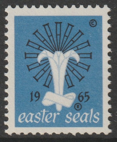 21762 aschenputtel usa - aschenputtel,