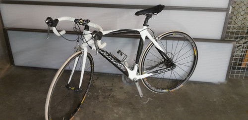Rennrad cucuma foia - , damen