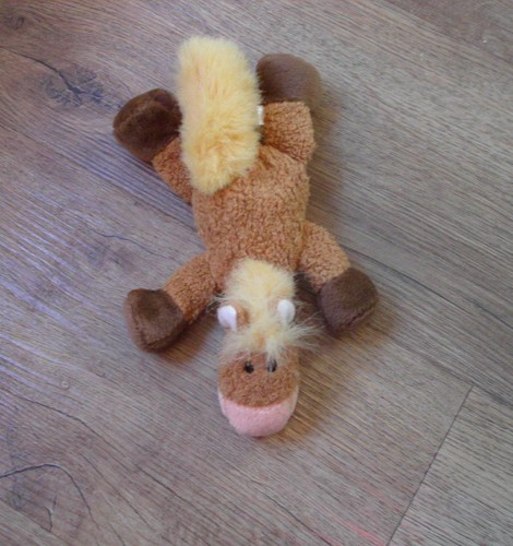 Nici pferd edward - nici,
