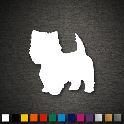 14228 west highland terrier - west, highland-terrier