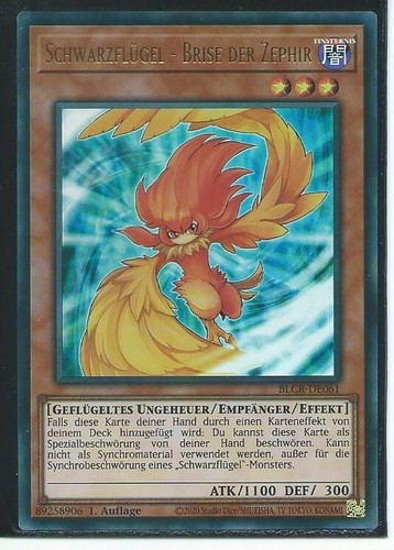 Schwarzflügel brise - oh,