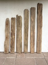 6 Schwemmholz Treibholz