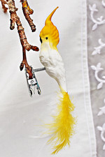 ❀ Kakadu Glasvogel Lauscha