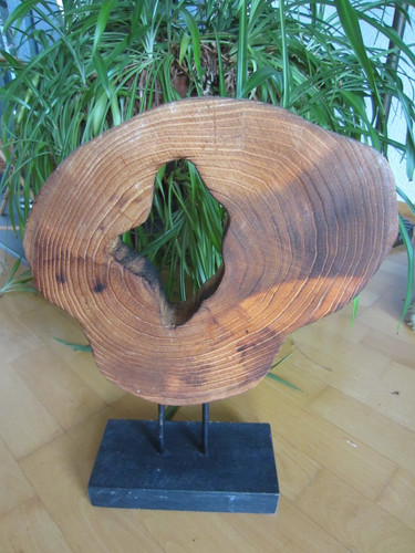 Baum scheibe mit loch - , relief