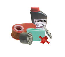 Service Kit für Briggs&Stratton Motor 11P902 11P905 11P907 11P912 795066 796254