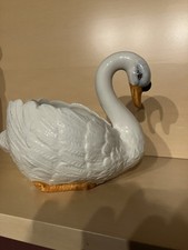 Weißer Schwan V. Bassano