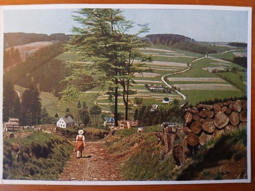 Postkarte 3136 nicht gelaufen
