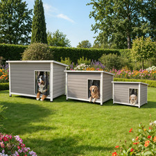 Hundehütte Hundehaus