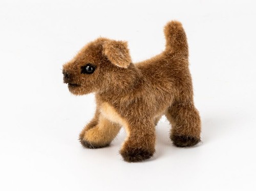 Kösen hund sandfarben - hund,