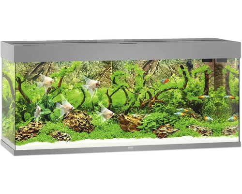 Aquarium juwel rio - juwel, 240