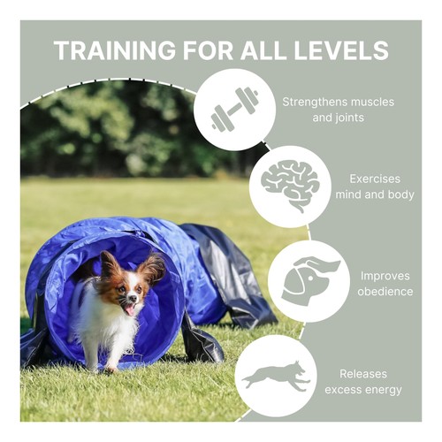 Trixie hunde agility - agility,