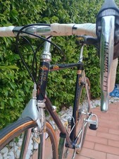 1983 vintage daccordi - 1983,