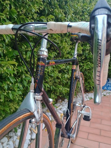 1983 vintage daccordi - 1983,