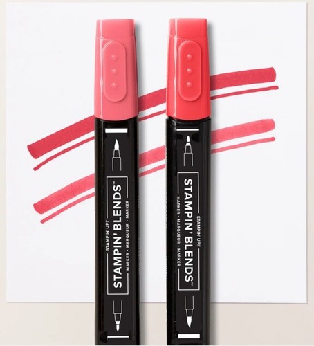 New stampin - new, stampin’