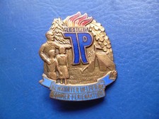 Junge Pioniere, Ehrenabzeichen