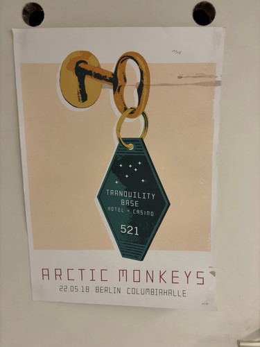 Arctic monkeys poster - arctic,