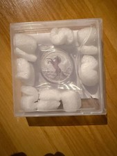 Australian Stock Horse 2013 2x