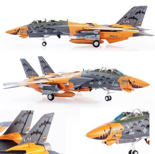 14d tomcat pumpkin face - tomcat,