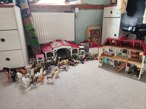 Schleich horse club - schleich, spielset