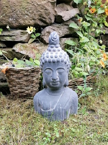 Neu buddha 37 - , aus