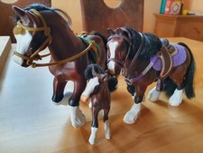 Grand Champion Pferdefamilie