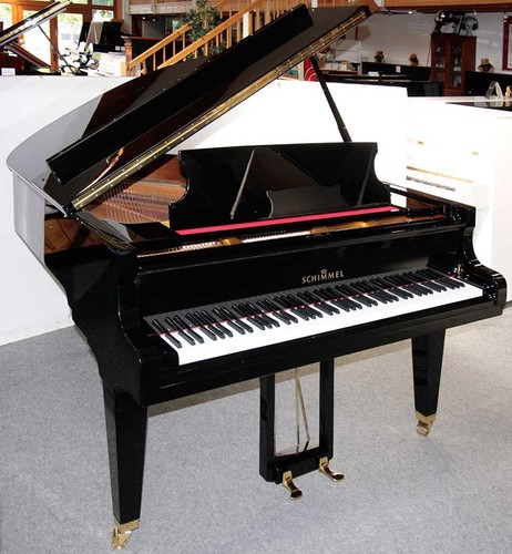 Flügel schimmel 174t - flügel, schwarz