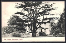 Ansichtskarte Sherwood, The Cedars 