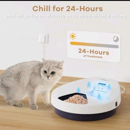 F10 automatischer katzen - automatischer,