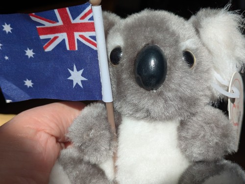 Koala australien - ★koala, 💕