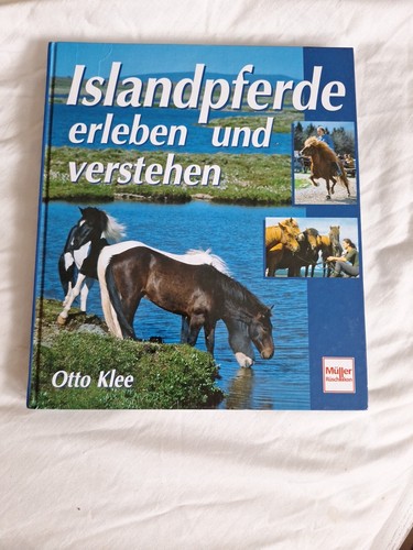 Islandpferde erleben und