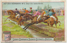 87/761 SAMMELBILD PFERDE