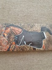 Felix Bühler 135 Regendecke