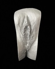 Vagina Gipsabdruck 3D Original