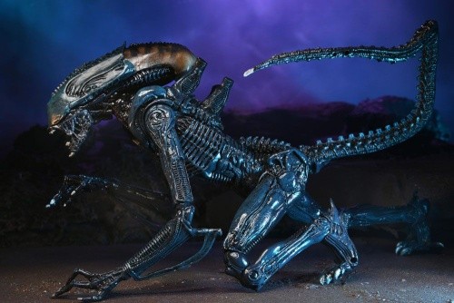 Neca alien predator arcade - vs,
