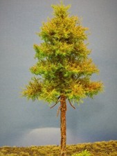 Diorama Modell Nadelbäume, 1