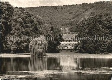 Amorbach Miltenberg Seegarten