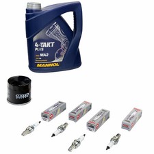 SET Öl Inspektion 4L für