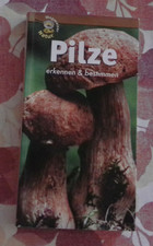 Pilze erkennen und bestimmen +  Wegweiser Natur  Pilzbuch H