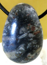 KORALLE dunkel  Versteinert