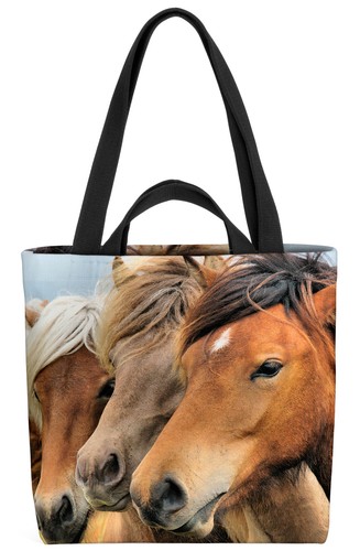 Islandpferde pferd reiten - pferd,