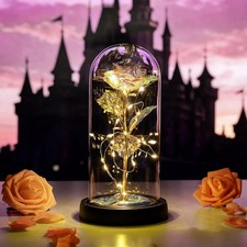 Ewige Rose Glaskuppel LED