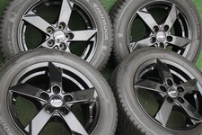 VW Polo Skoda Fabia Rapid Audi