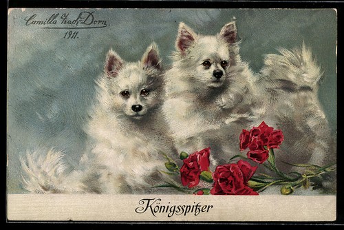 Zwei königsspitzer mit rosen - königsspitzer,
