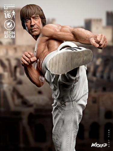 Chuck norris the - chuck,