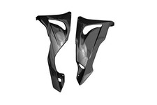 Carbon Bugspoiler für