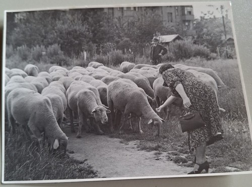 Altes foto vintage - altes,