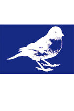 Schablone Siebdruck Vogel