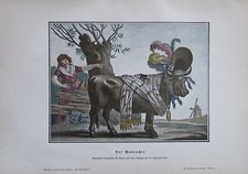 Der modeochse französische - modeochse,