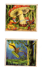 2 Bilder  ´´Wurzelputz´´ , Knorr