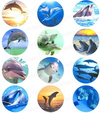 Delphin eßbar Tortenbild Party Deko Geschenk Muffin Cupcake Delfin Geburtstag